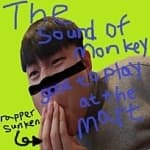 마트에서 틀기 좋은 원숭이 소리 (The Sound of Monkey at Mart)